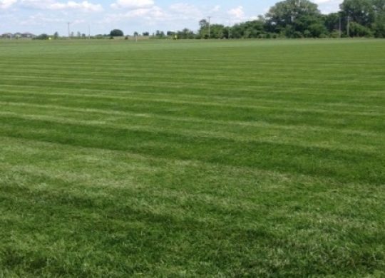 Timberline june 2015